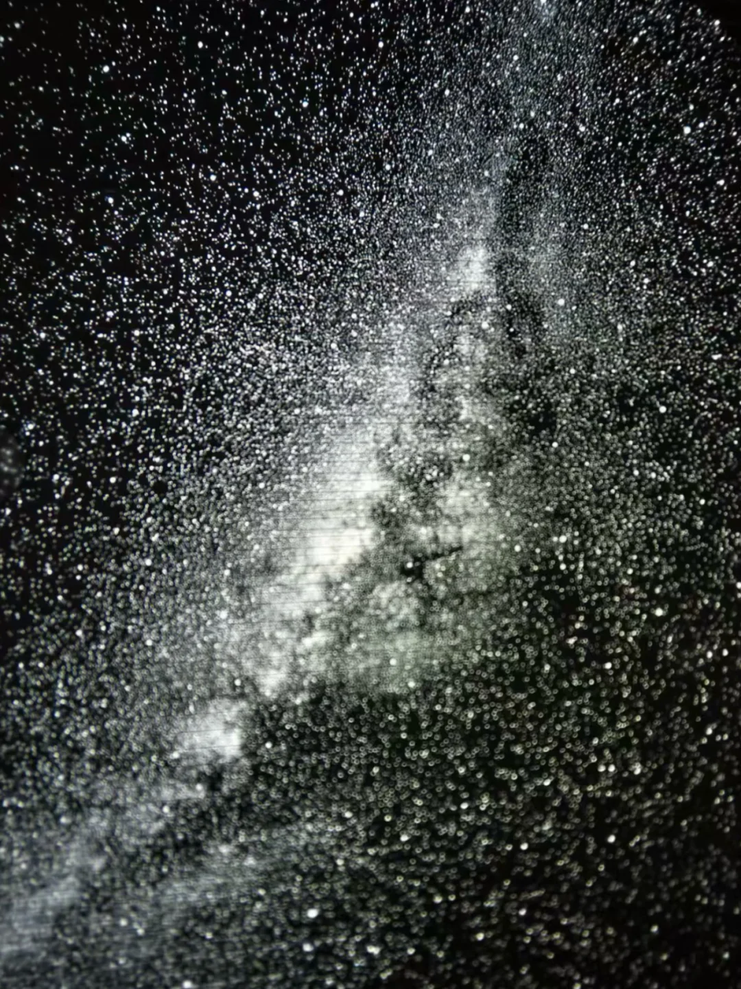 雪山🏔️脚下 牛仔很忙！