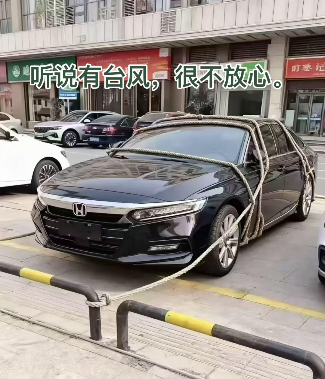 每日一笑。     不怕台风了