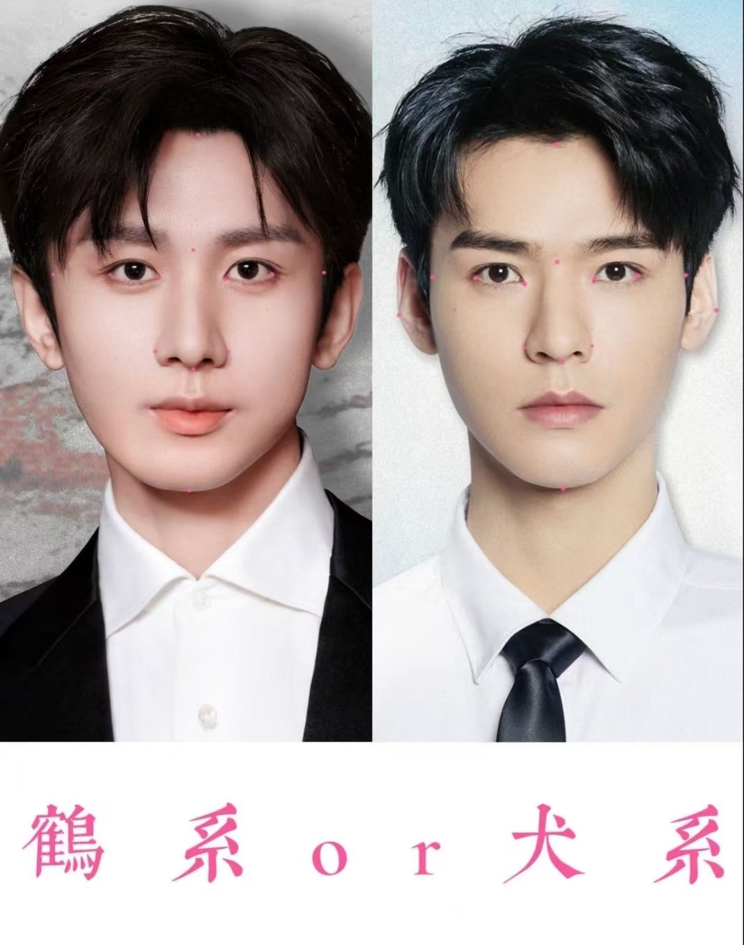 ee是鹤系的吗？我一直以为是鼠系的。 