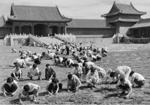 1949年，国家组织了7万人在北京故宫里清理垃圾，耗时整整9个月，清理出了近40