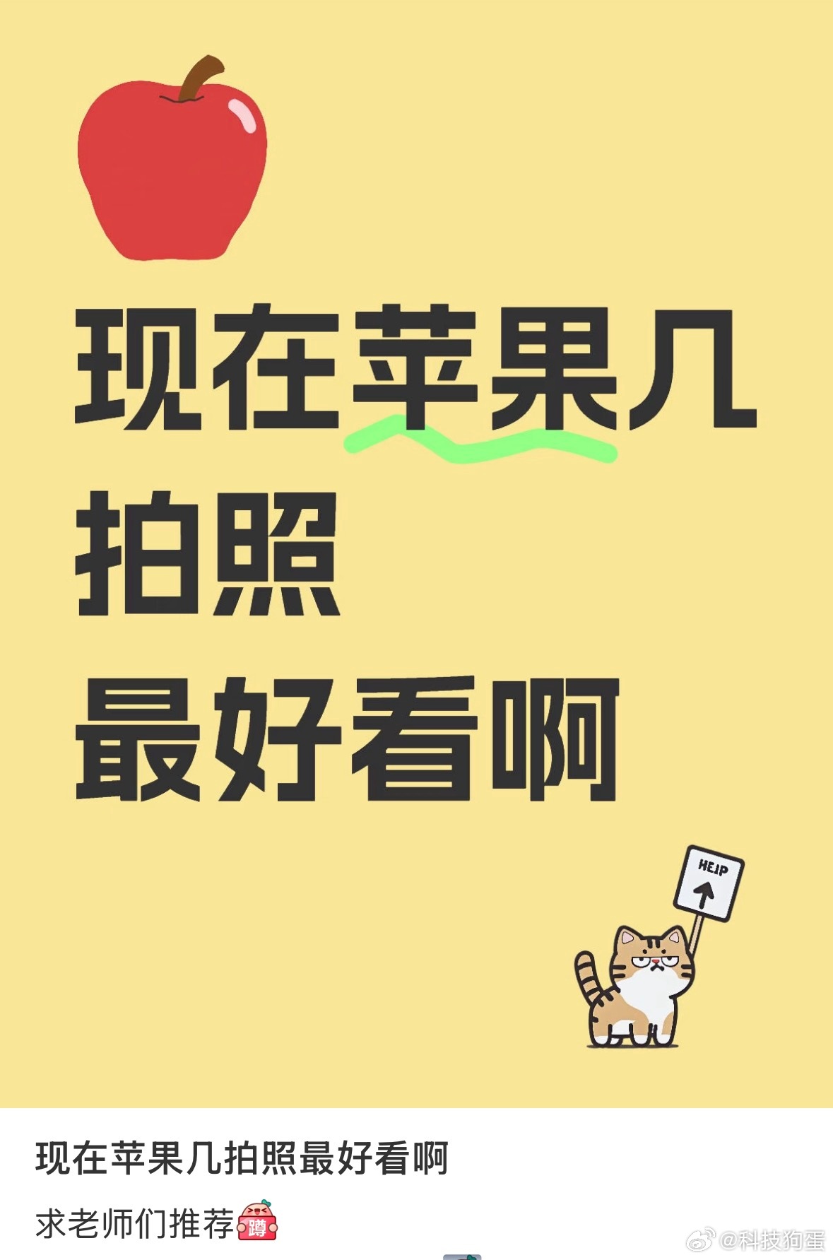 每次刷到苹果手机拍照推荐的帖子，大家都不约而同的推荐苹果的老产品，例如XR Xs
