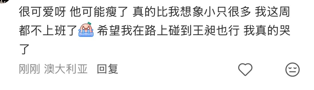 《不敢相信他在现实里小小的 并不是电视上那么大只一个》《应该让他向王昶问好》 