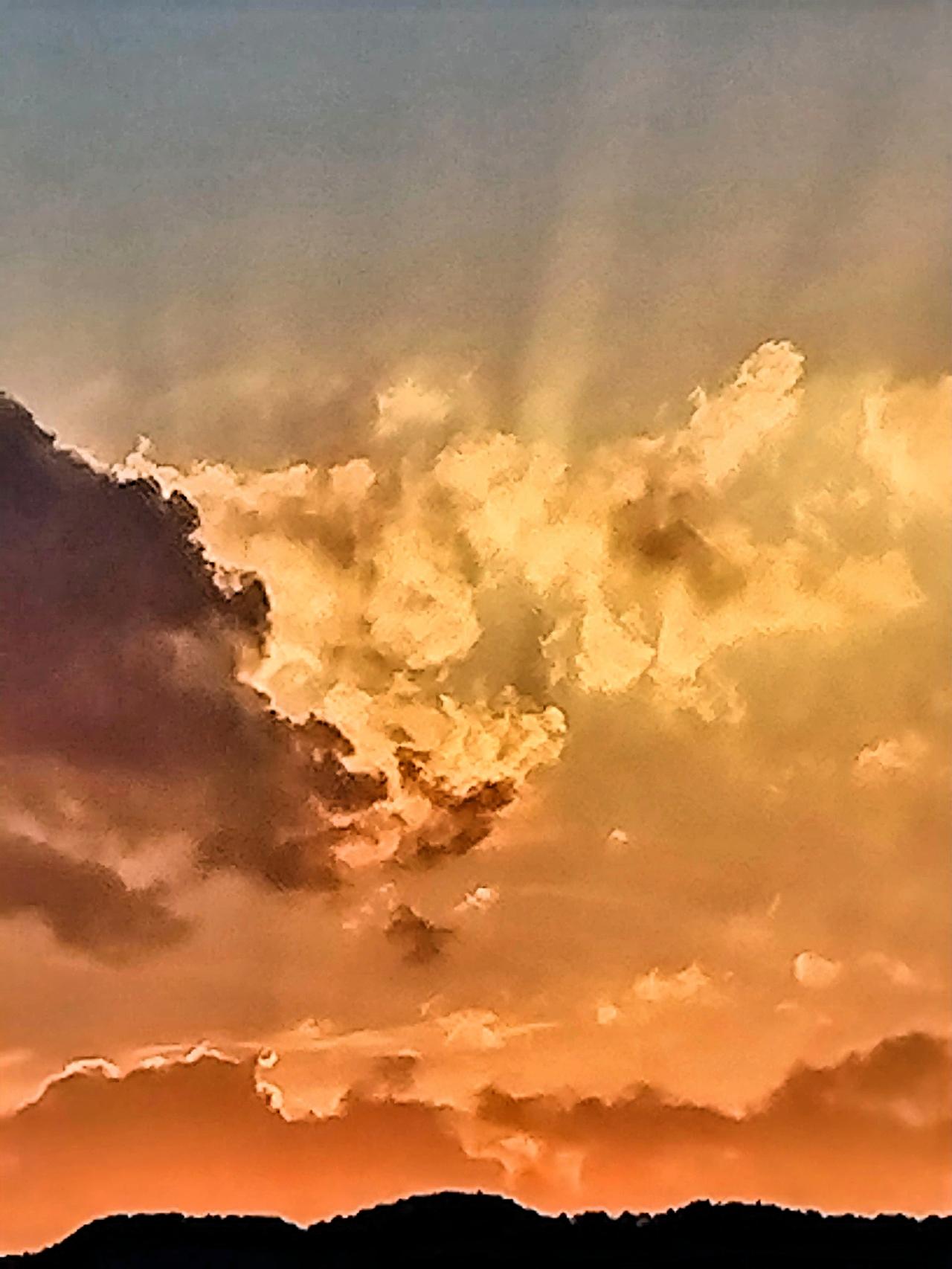 今晚沿南汀河小跑健身，抓拍了夕阳西下的美景。