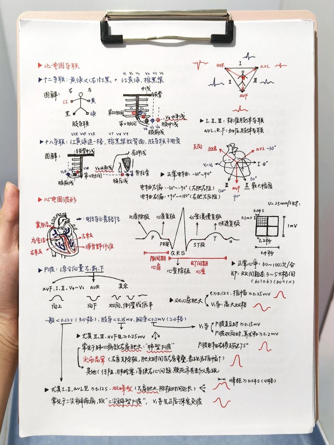医学生笔记｜心电图📝导联和波形解读