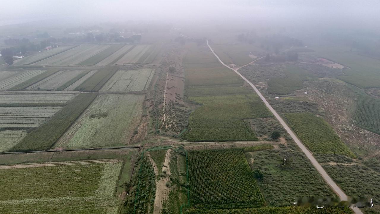 黄河以一道温柔的弧线拥抱着这片土地，雾气笼罩在天地之间，让十二座古城遗址如被时光