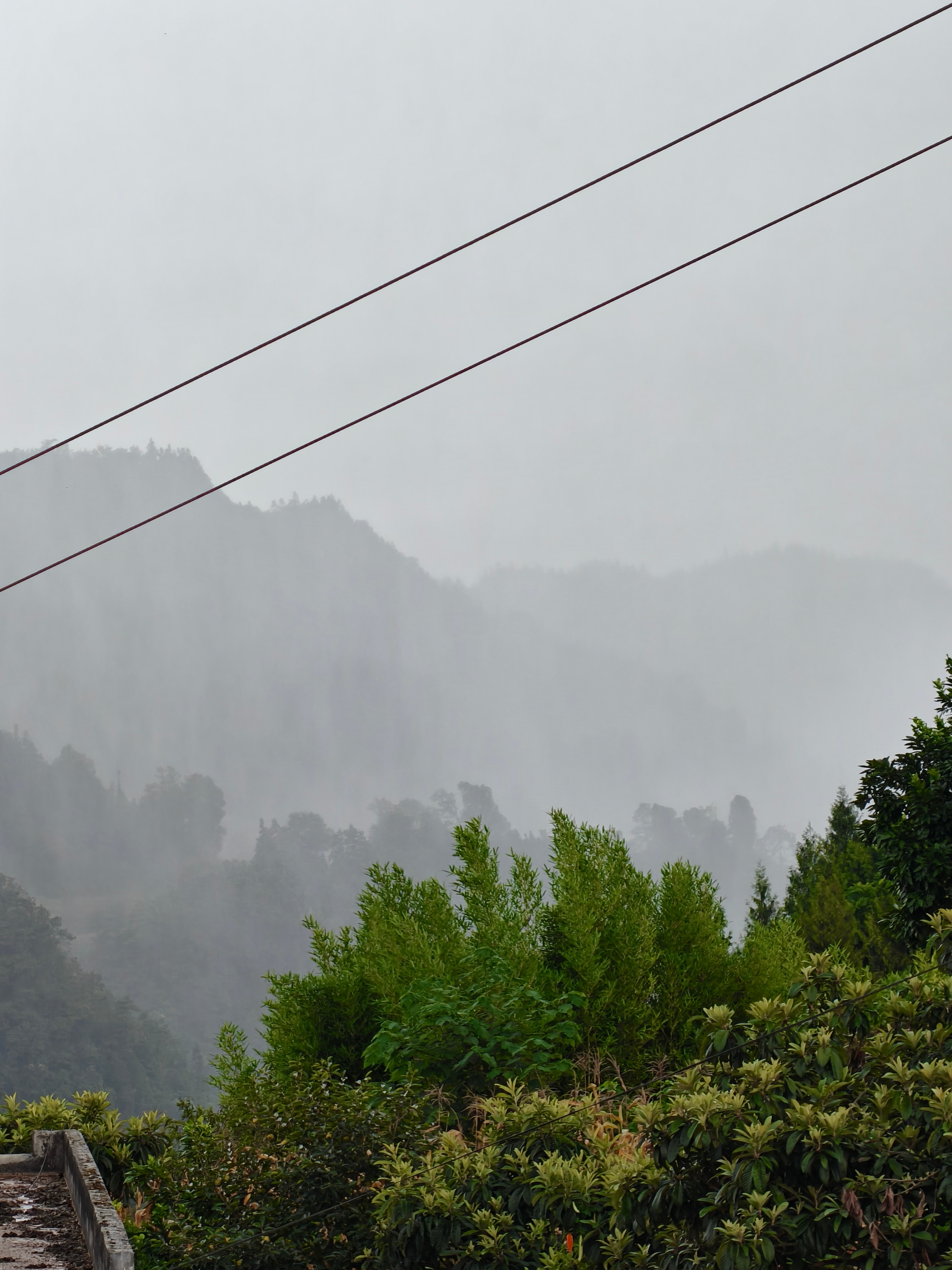 这是雨还是雾🌫️？👀大家有谁能看出来…… 昭通·威信