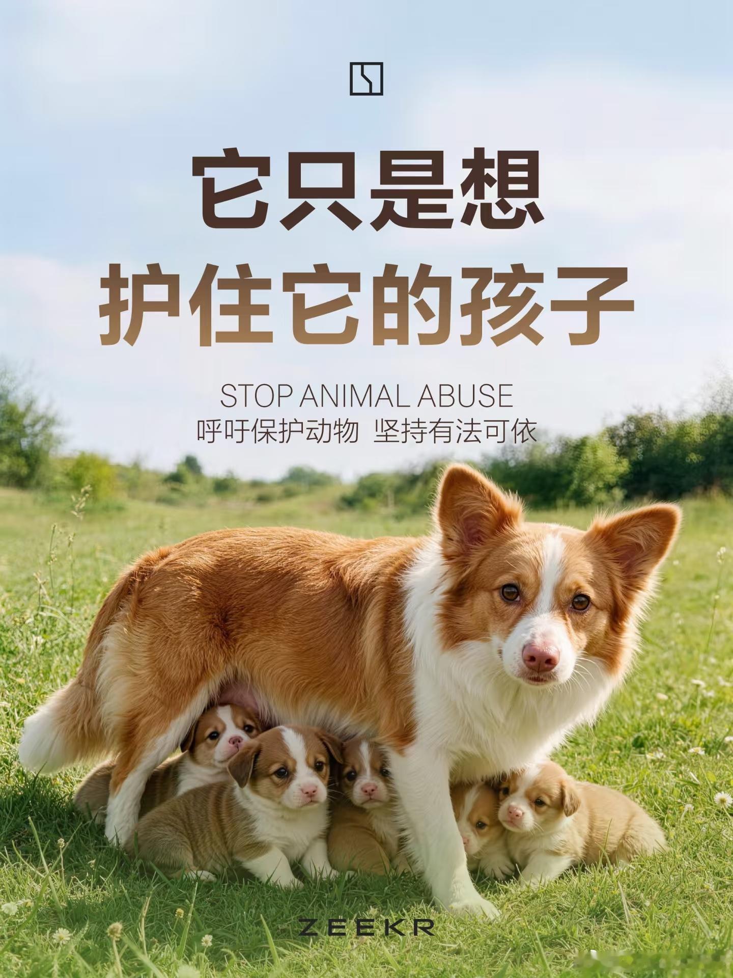 极氪为旺旺发声 不多说了，极氪这波上大分！支持反虐待动物立法广东揭阳4名孩童虐杀