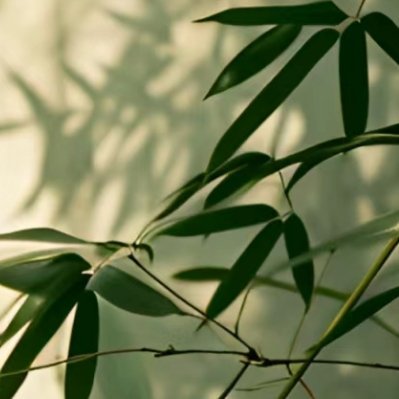 每日一善阳光信用 每日一善 生活，需要追求；梦想，需要坚持；生命，需要珍惜；人生