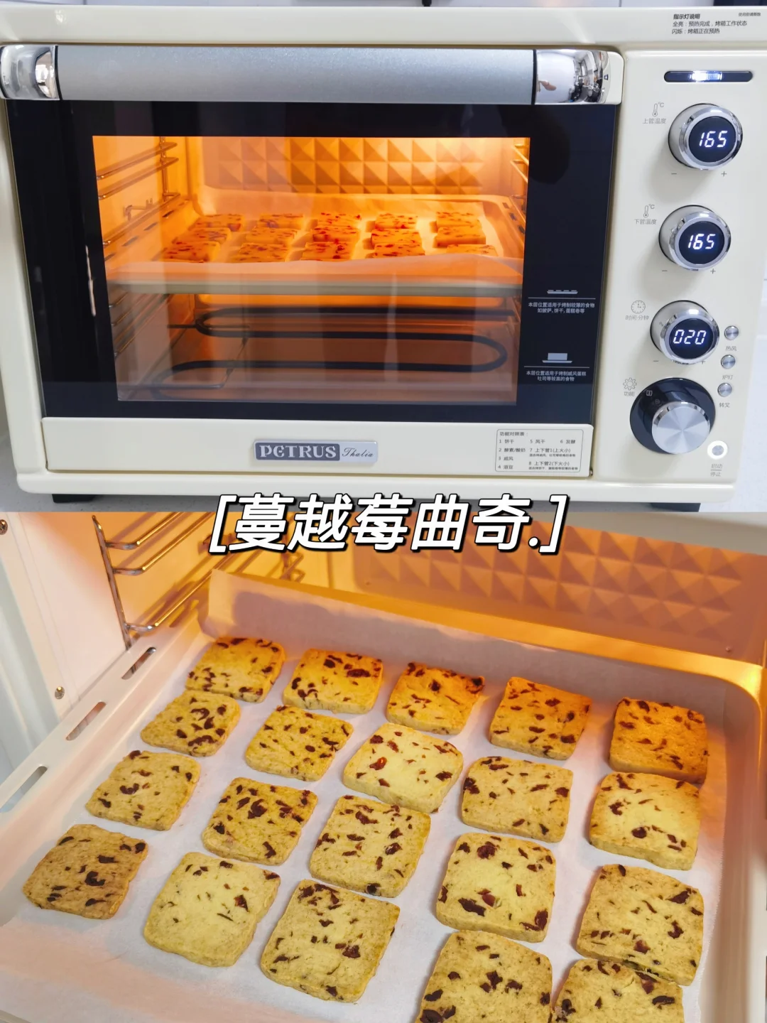 ✅小白烘焙入门级烤箱|蔓越莓曲奇饼干