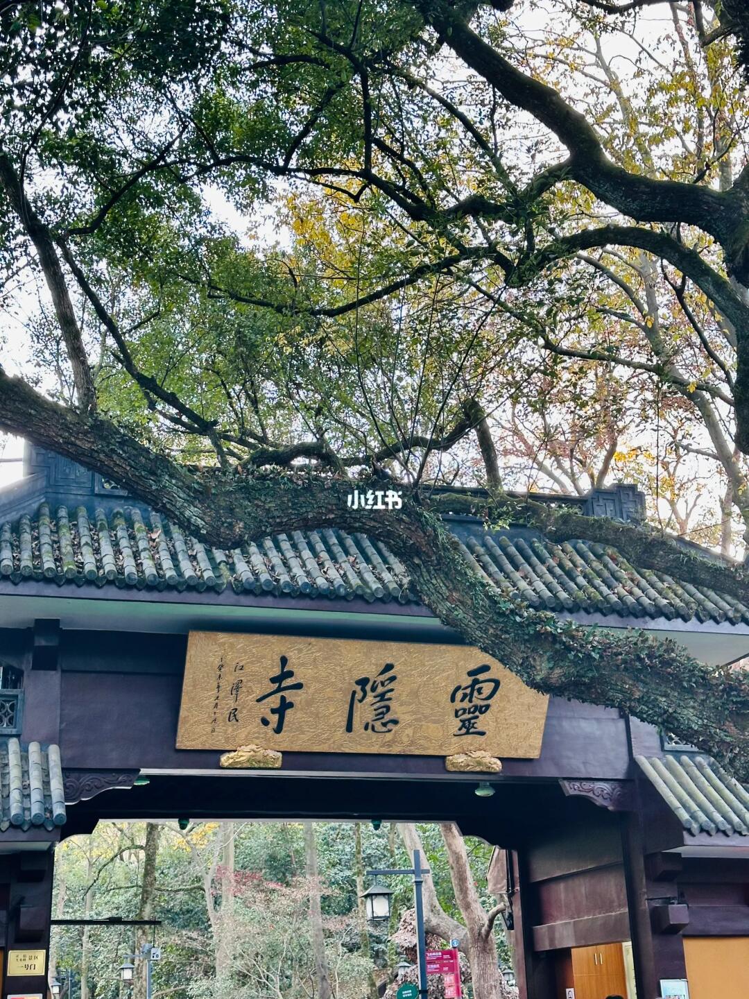 离开杭州之前答应我一定要来一趟灵隐寺❗️❗️