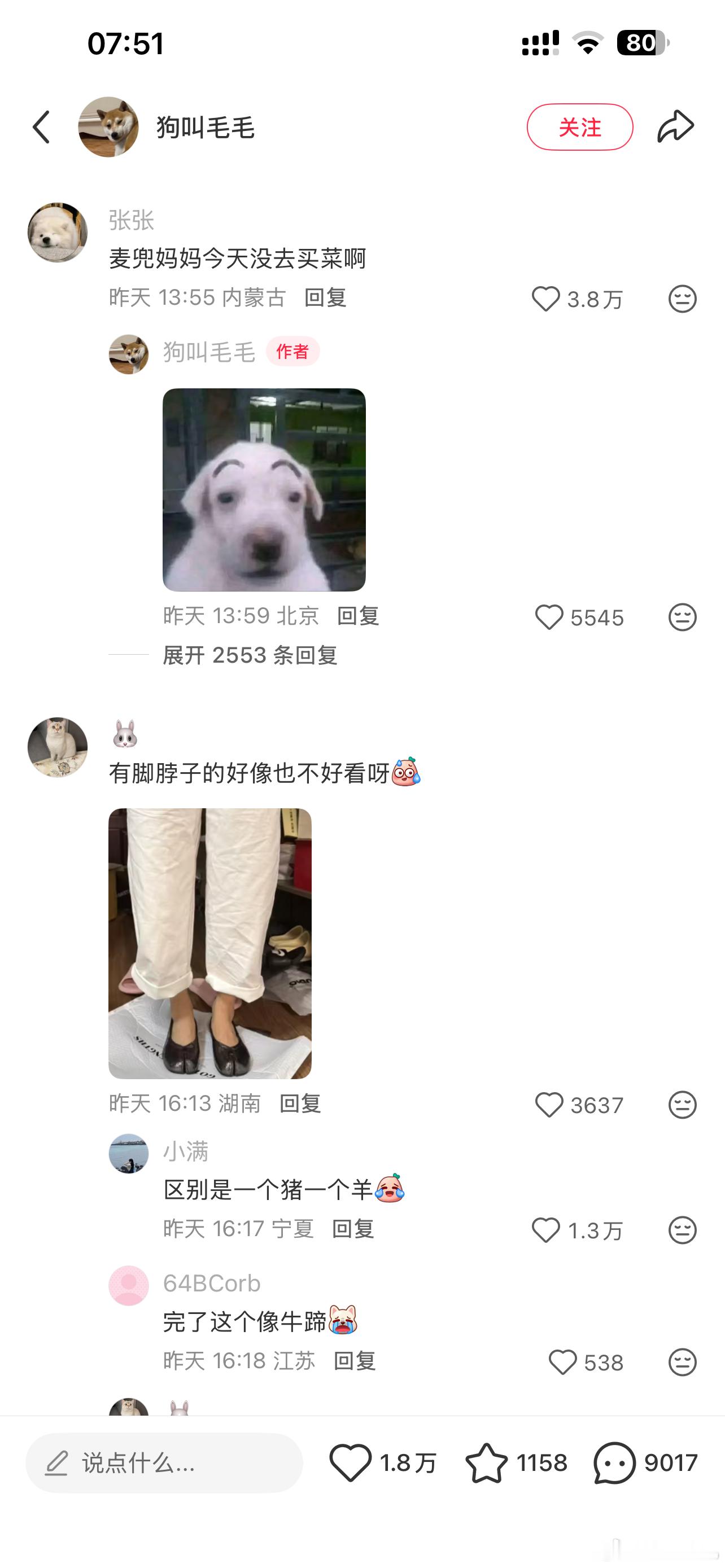 哈哈哈哈 