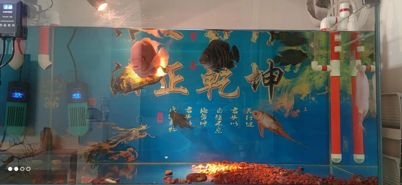 实习律师第23个周末
        焦虑是不是伴随着律师的一生。
      
