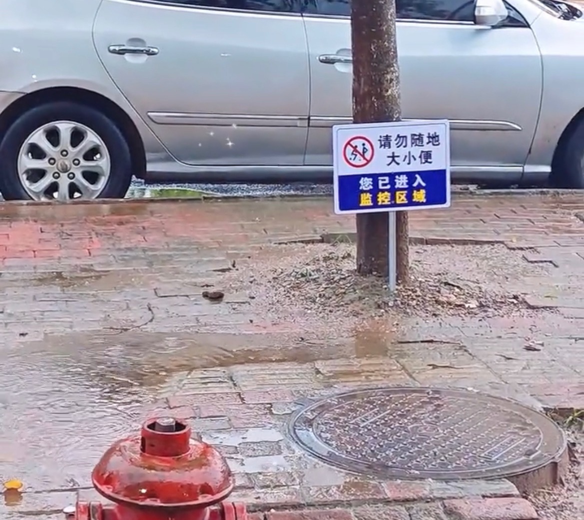 【玉林某门店人行道绿化树有人随地小便】近日，玉林市的某门店人行道上的绿化树晚上有