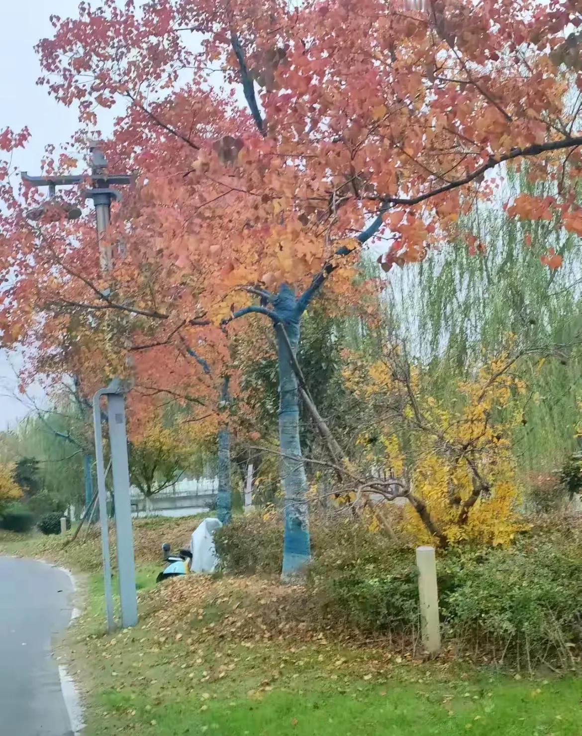 每次外出旅游都会因为住酒店，和女儿发生分岐，这不要过年了，准备要来个短途游，住一