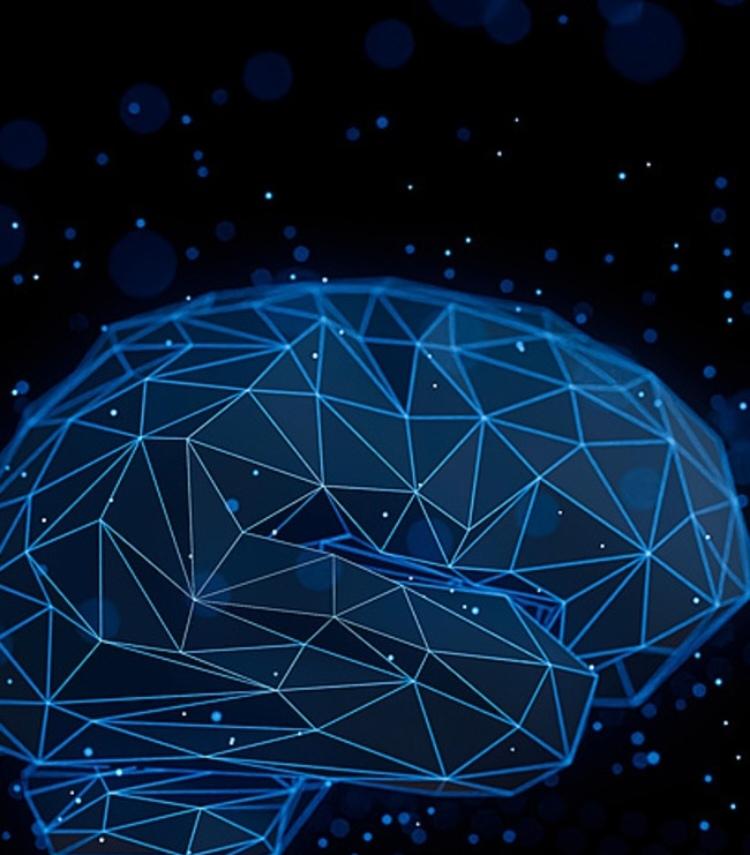 重大发现！人生4个大脑关键转折期揭晓，9/32/66/83岁影响认知与健康
 