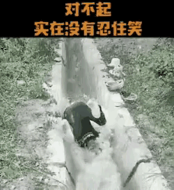 别怨我不厚道的笑了，镢着屁股忙活半天，鱼没网一条，把自己整翻了，太搞笑了这人，