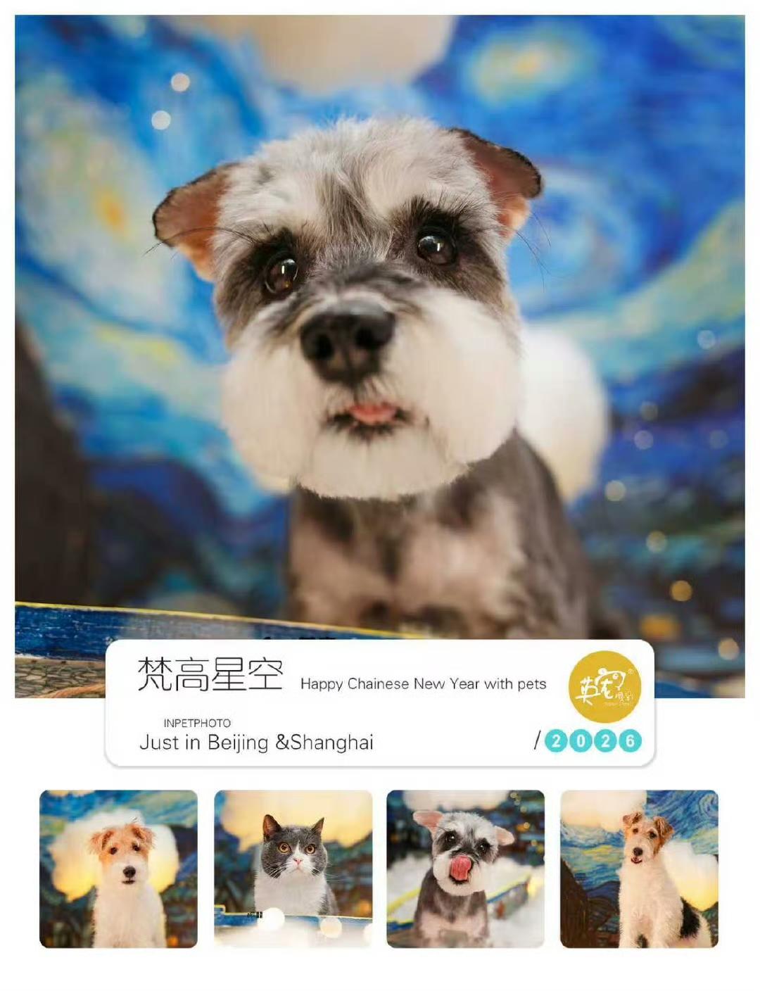 499能拍什么好看的景啦？
便宜不会没好货，英宠60款布景7个门店
随你挑选[6