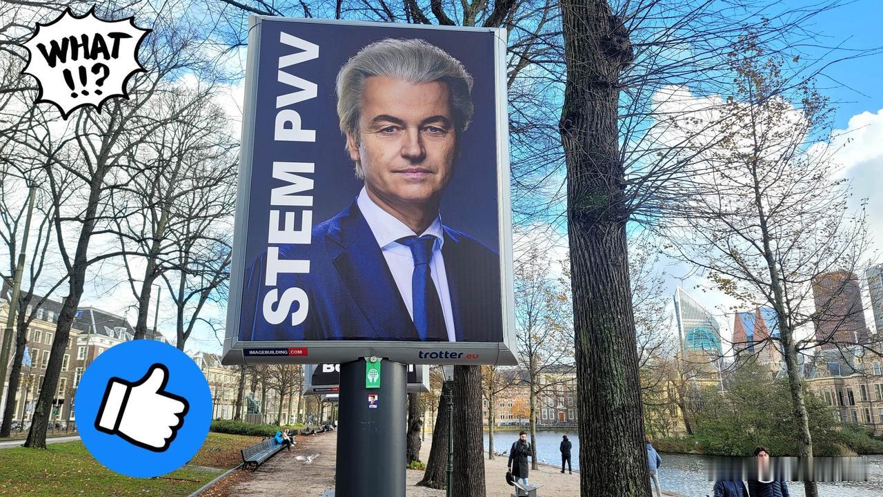 都以为稀土管制能按住荷兰，没想到人家反手就把中低端DUV光刻机也禁了，连老设备维