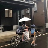 茶树热看生活服务
