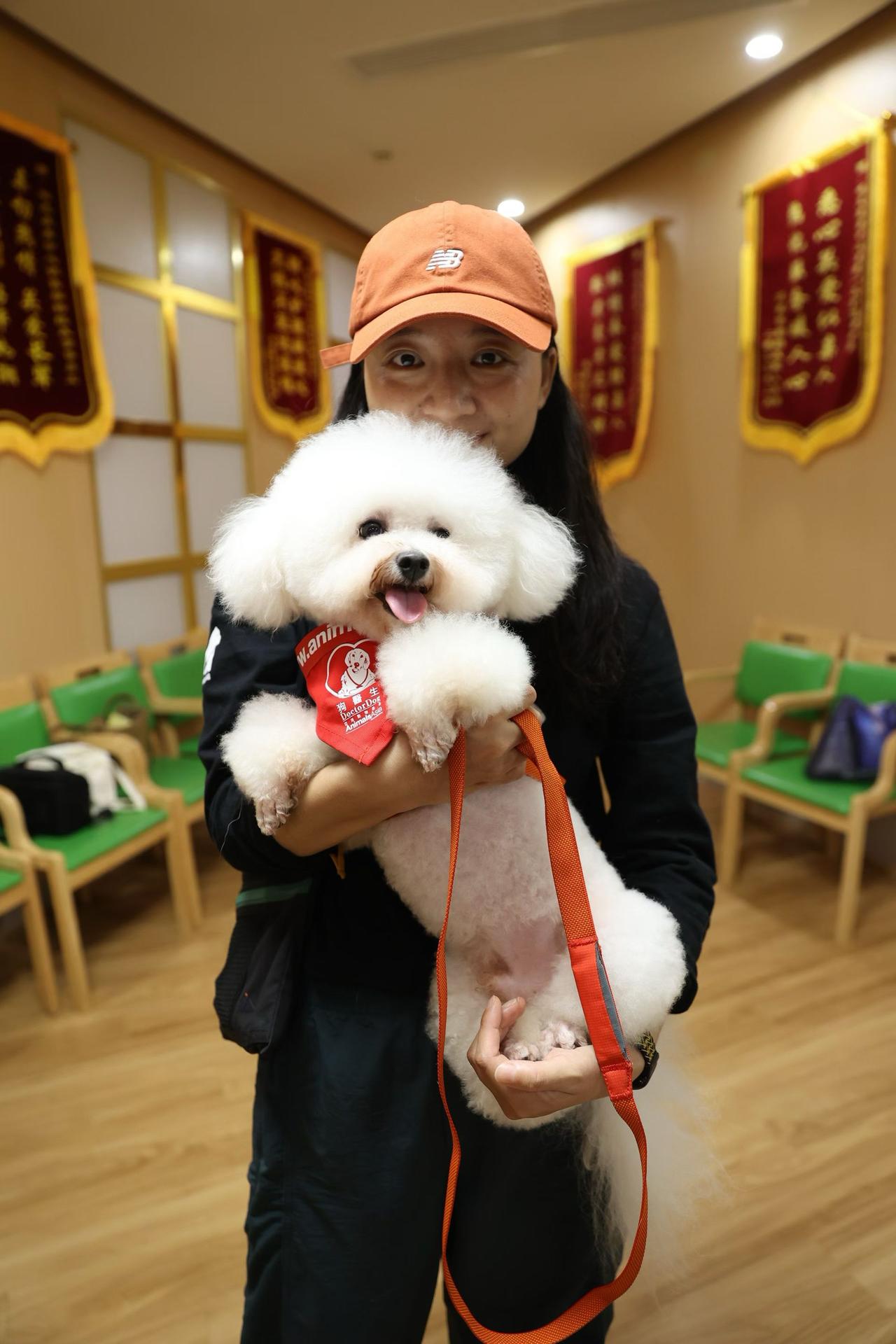 昨天下午，成都侄媳妇带着它的宠物狗豆花（图1，豆花是狗医生形象代言人呢）它和狗医