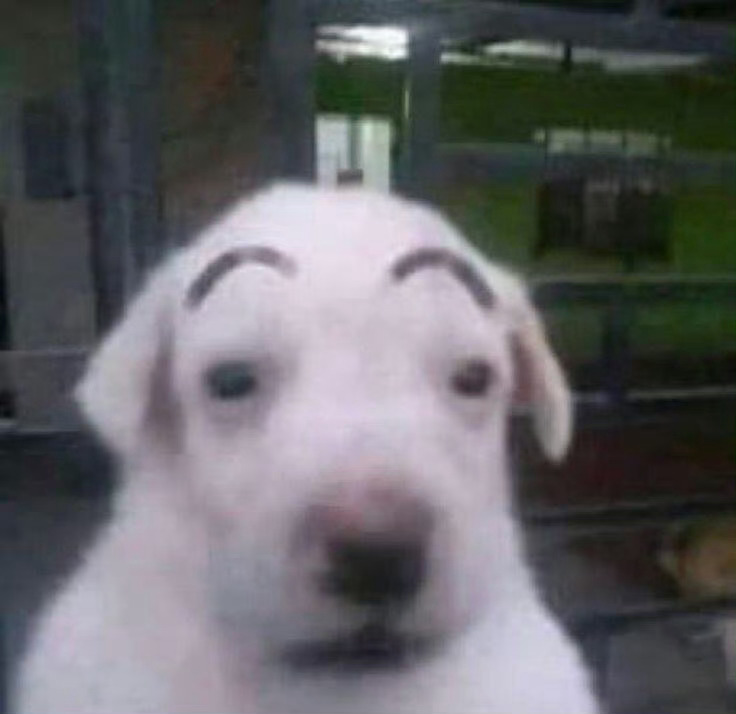 我就这样天天被戏弄： 