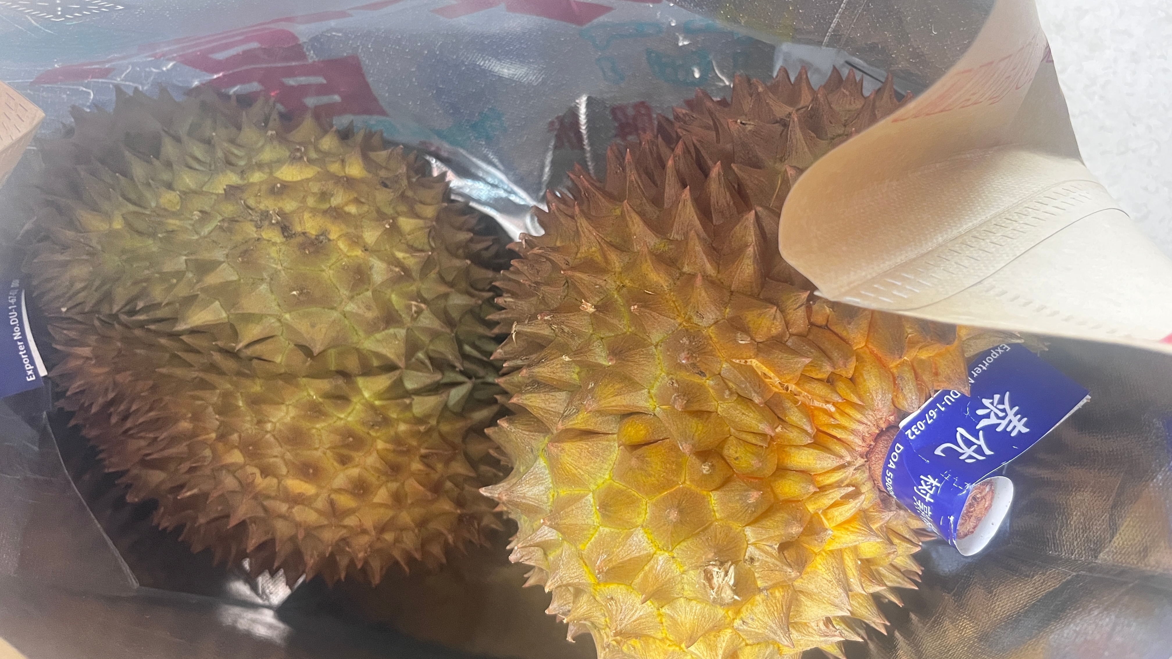 没抽到签名照，但是收到榴莲投喂