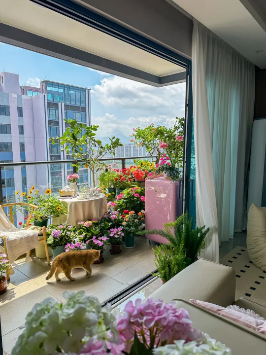 把色彩搬进阳台，我会一直住在春天里‼️