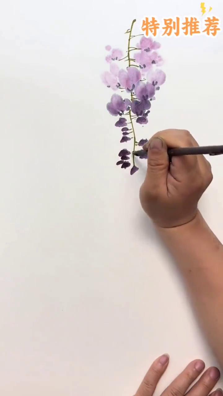 紫藤画法。
传播美术知识。
·花青加曙红调深紫色画花苞。
·笔尖加水调淡紫色画盛