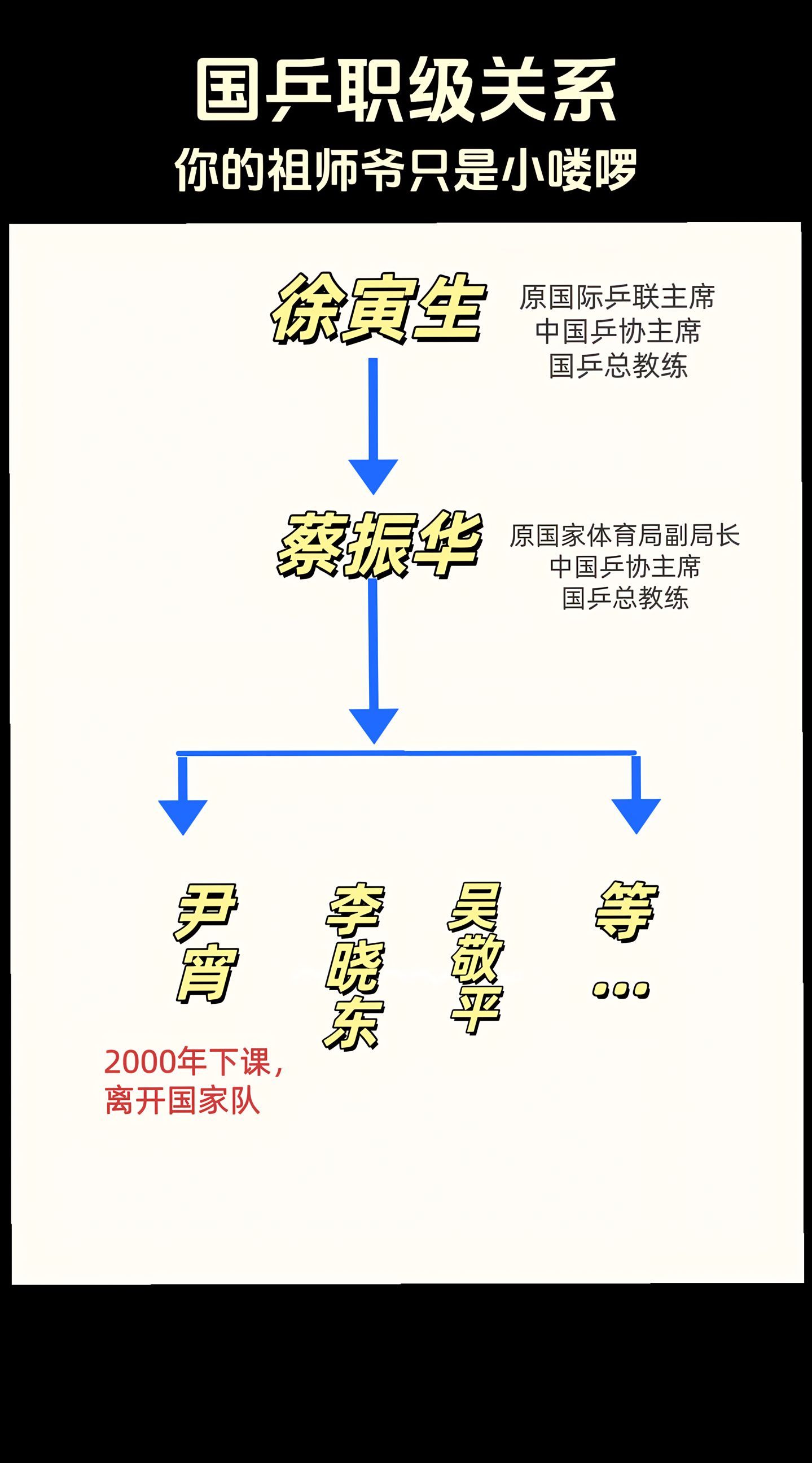 乒坛泰斗谈奥运会参赛资格 这是真泰斗