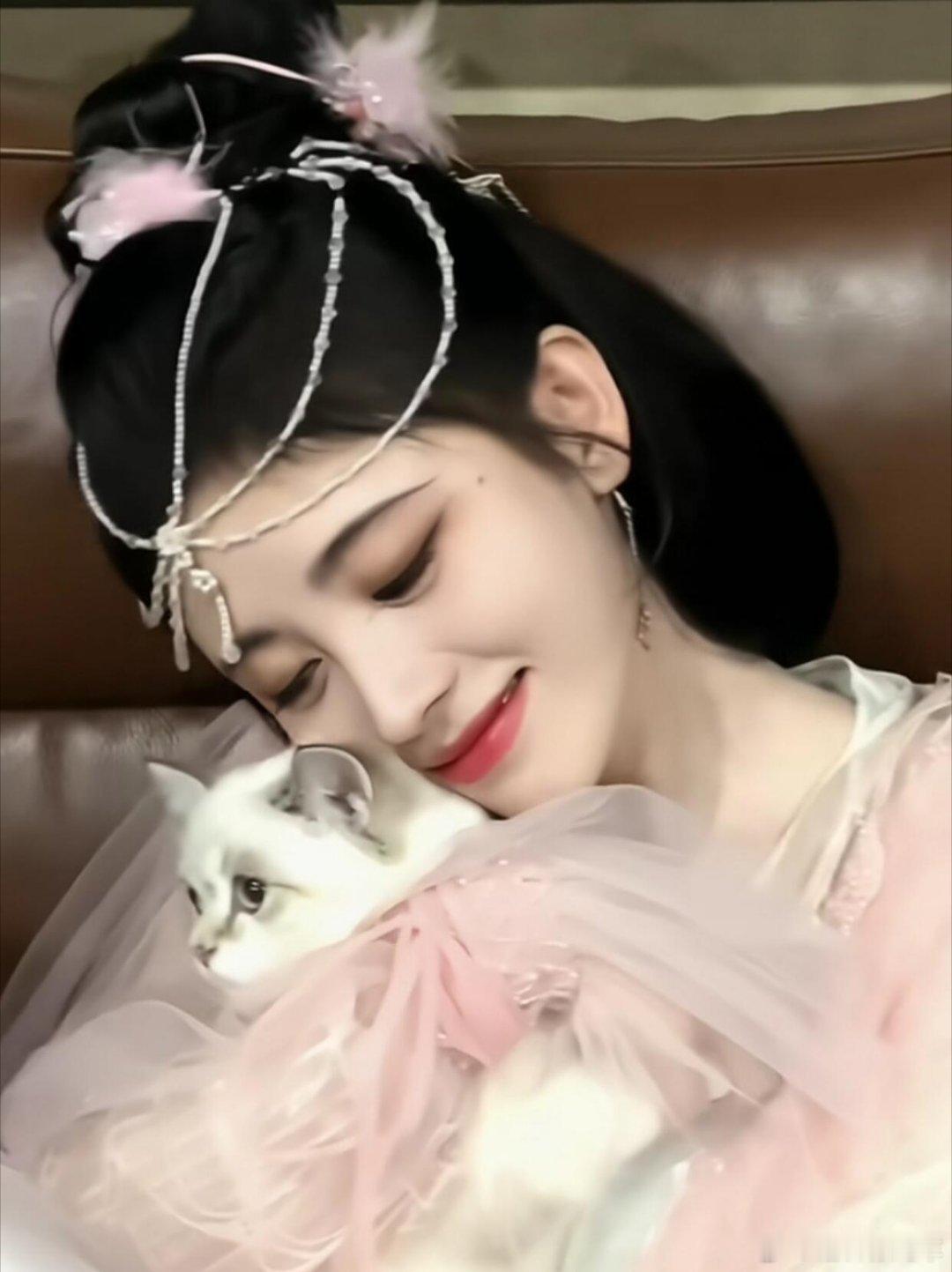 鞠婧祎鞠婧祎的猫也有番位 内娱独一份的待遇来了，女明星的猫咪不仅有番位头衔，还有