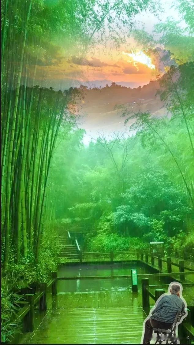 五律|晨晖
小池浮缥碧，绿荫画堂东。
晨露竹枝雨，湿衣荷叶风，
闻香榴胜火，隔水