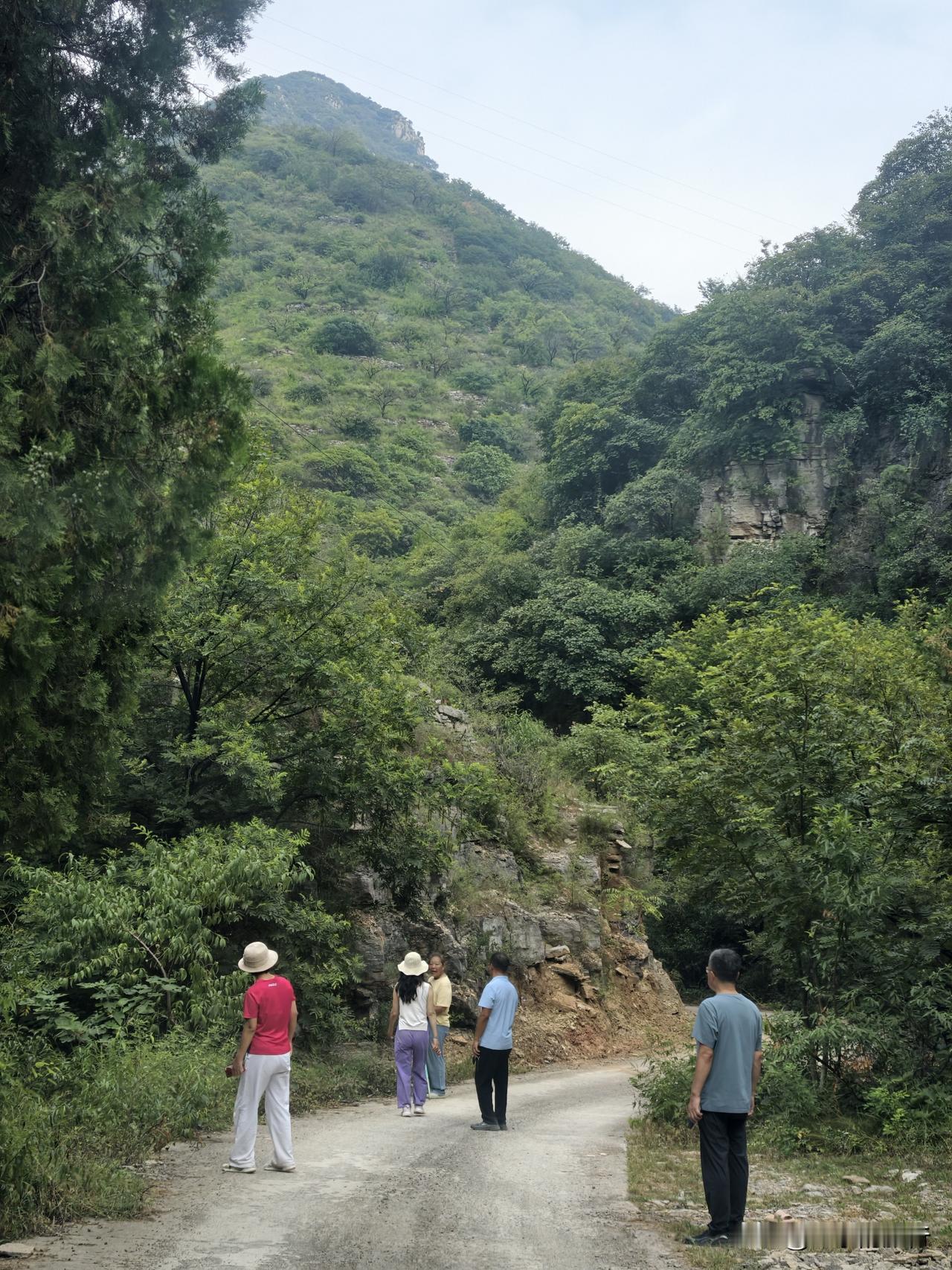 自驾鲁中秘境-青州杨集大峡谷，从洞顶去往黄花坡，走到水峪村，我后悔了！

我们导