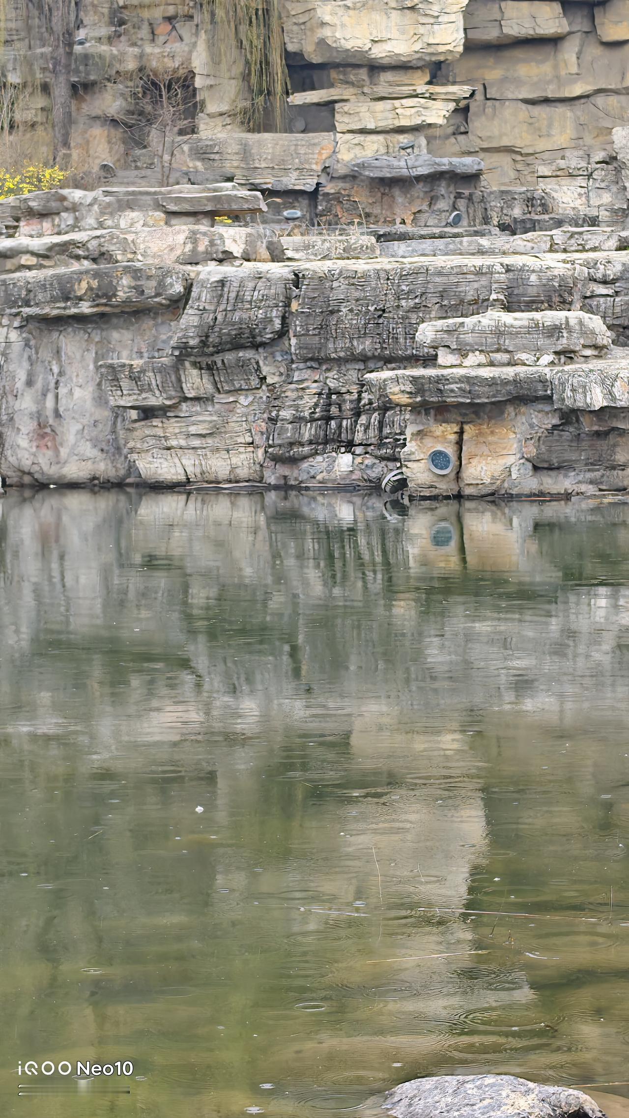 春风拂面行万里，花开见喜，生活皆可期。