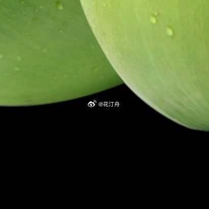 椰子种植方法一、选种催芽：选黑棕色老椰子，如毛椰子，用水浸泡三天，放有一点水且开