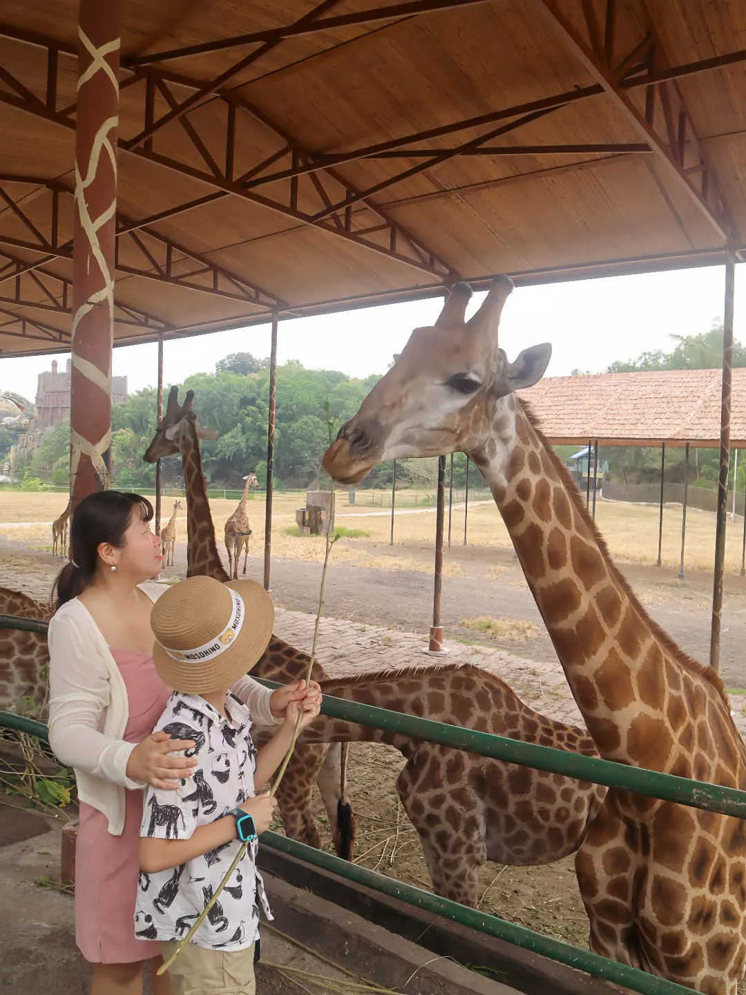 重庆遛娃｜去乐和乐都乐园嗨玩一整天！