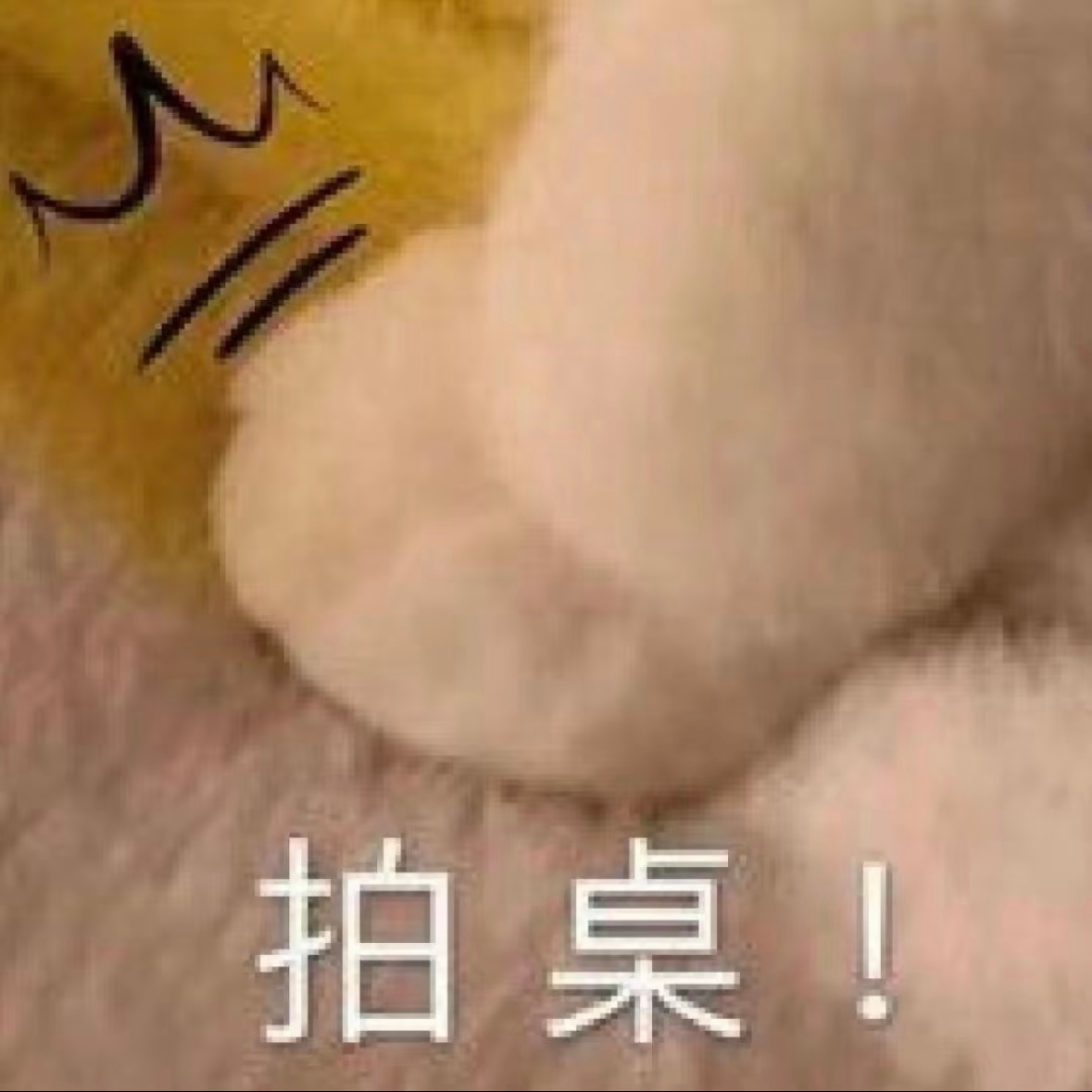 【10200】都停一停兔有话要说！ 