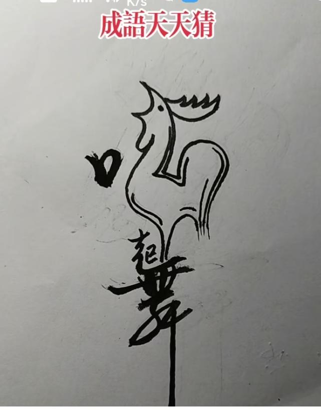 〔眼睛的结构〕
一、眼球壁（三层）
 1）外层
 角膜：光线首先进入处。
 巩膜