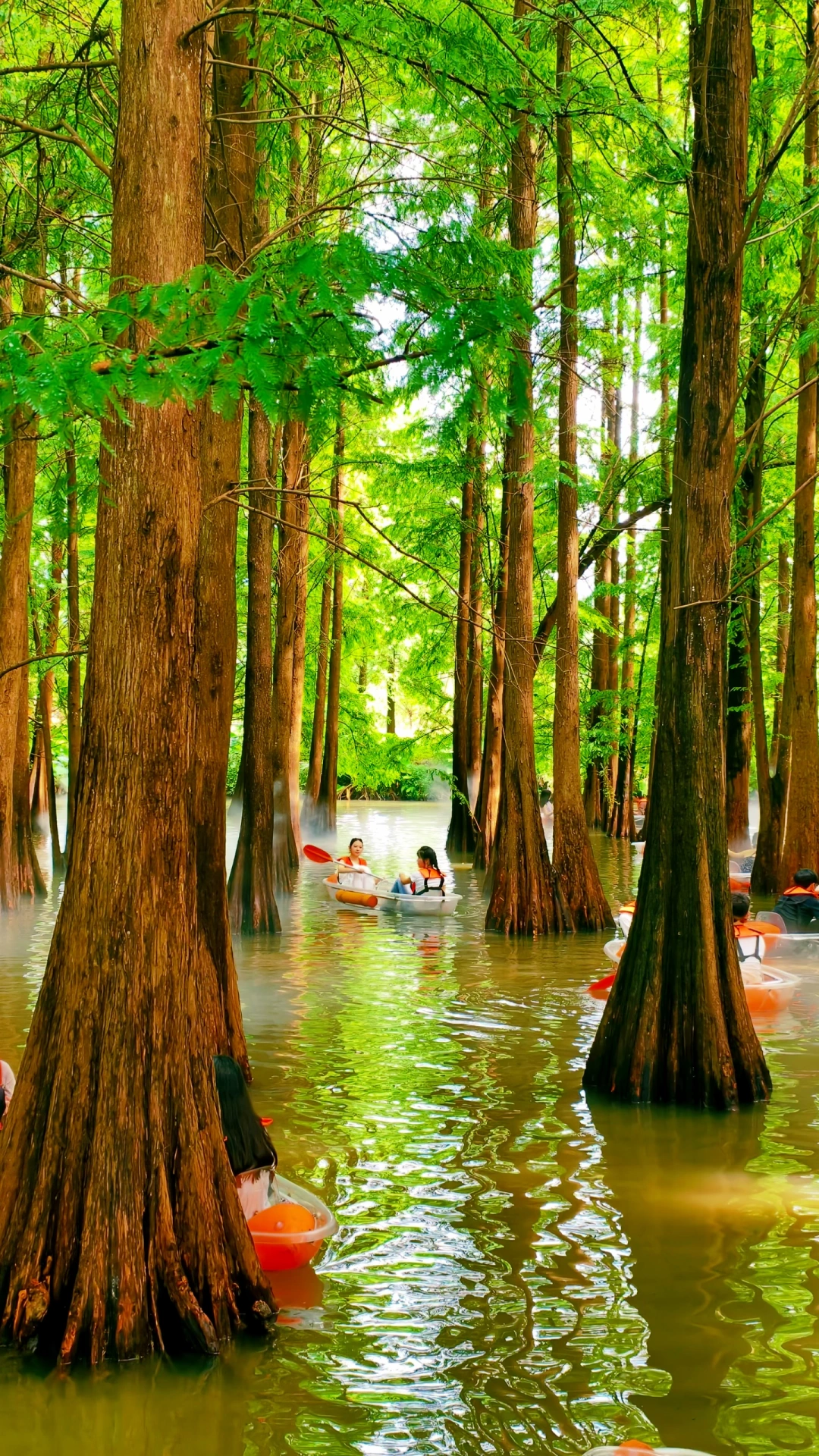 在肇庆~误入绿野仙踪里划船🚣
