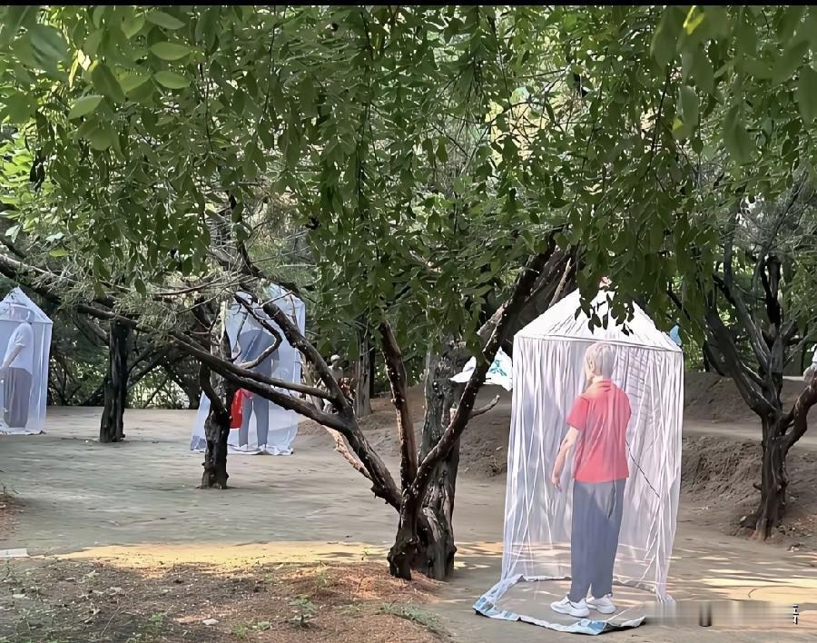 现在的人，不是不搞对象，也不是不想结婚，更不是结不起婚。而是，不愿意将就。
他们