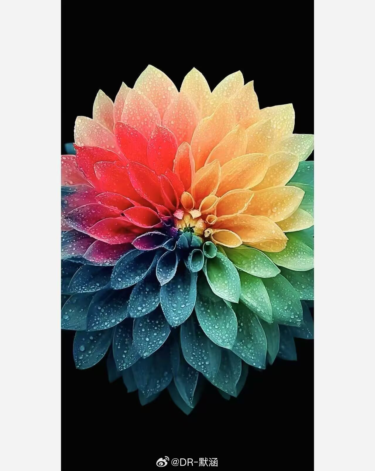哦，一个独自走向世界的小孩，祝福你，是的，祝福。——杨隐《微小的善念》壁纸手机壁