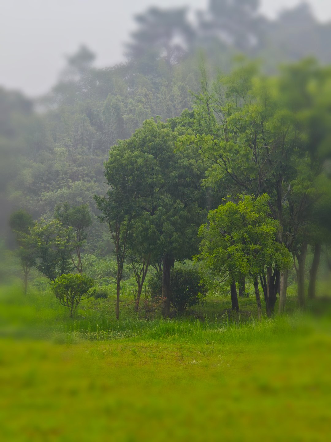 离开杭州的时候，飘着雨。 杭州