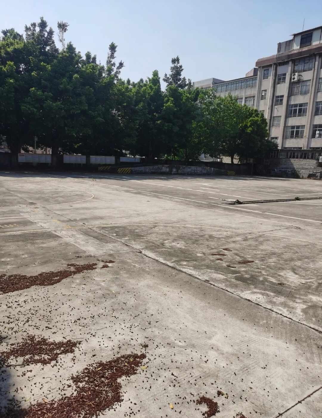 挖到荔湾鹤洞性价比车位🚗 月保330/月
挖到荔湾鹤洞性价比车位🚗
月保33