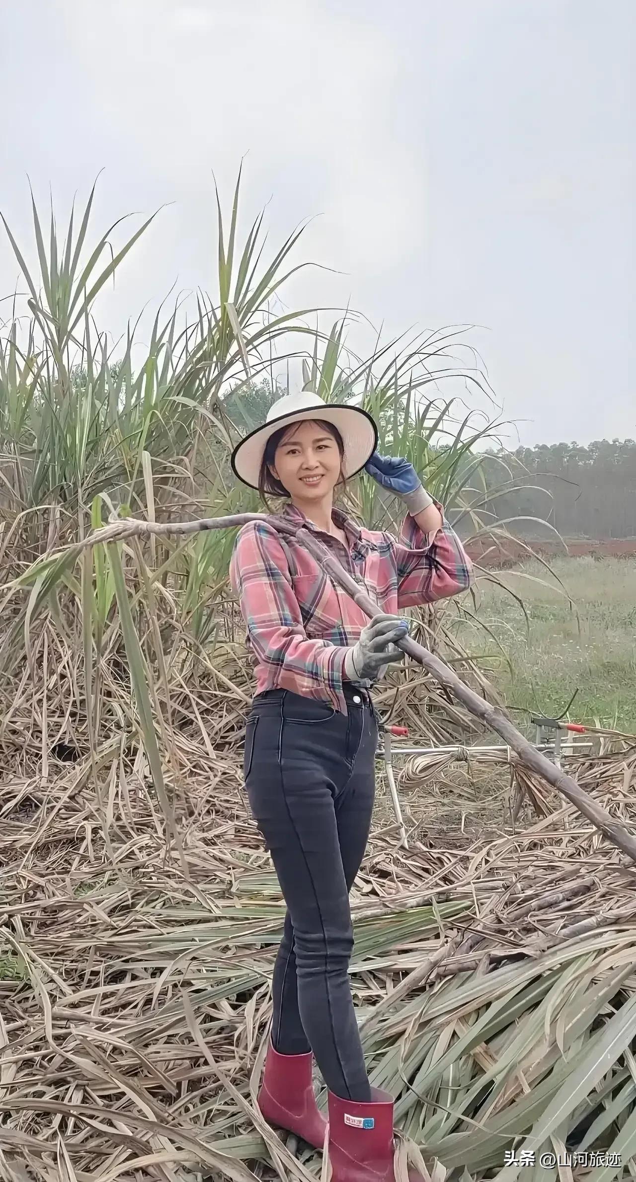 云南省富宁县，我们这儿也产甘蔗，我是土生土长的本地人，也没有出过远门，也不存在远