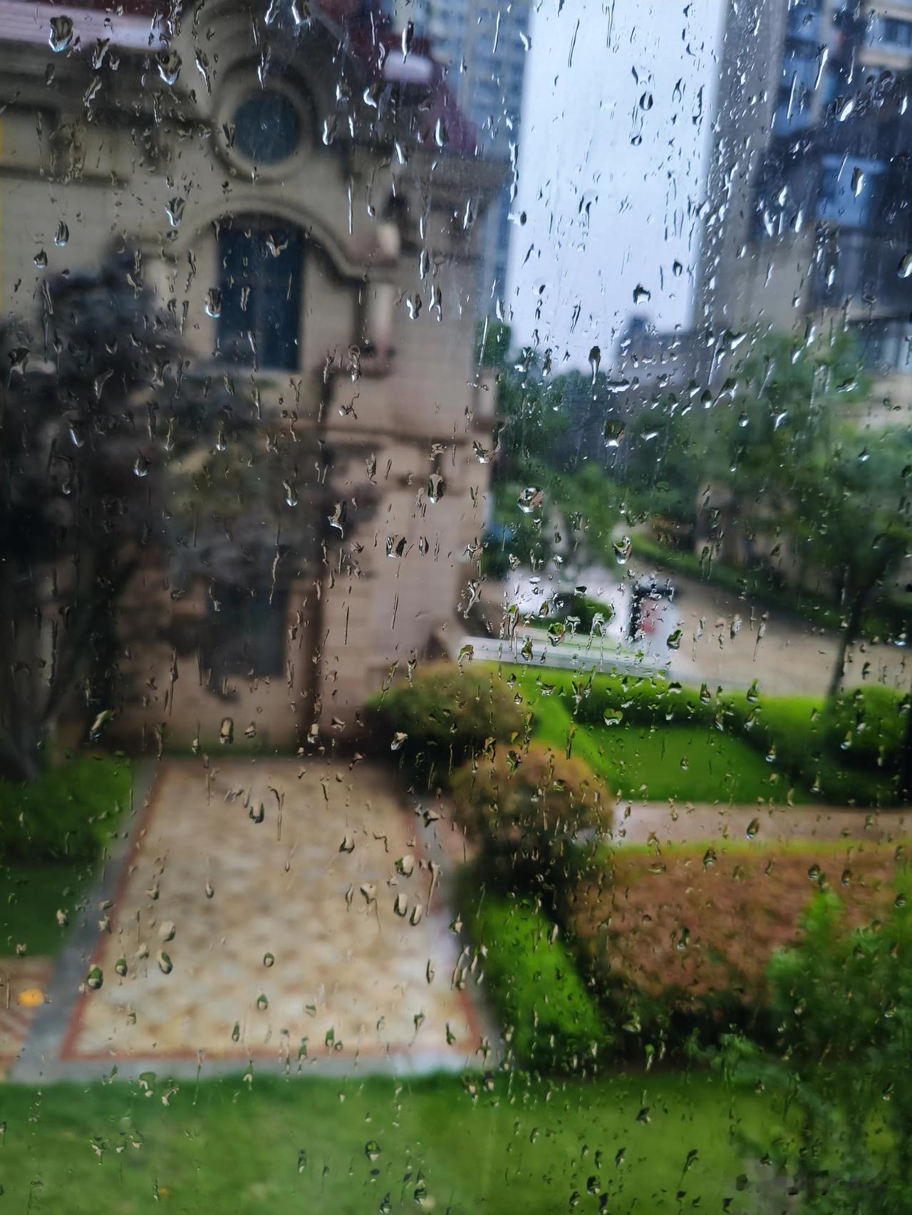 昨晚的雨没停歇，下了一整夜。雨点噼里啪啦敲着窗户，屋外流水哗哗作响，像一曲美妙的