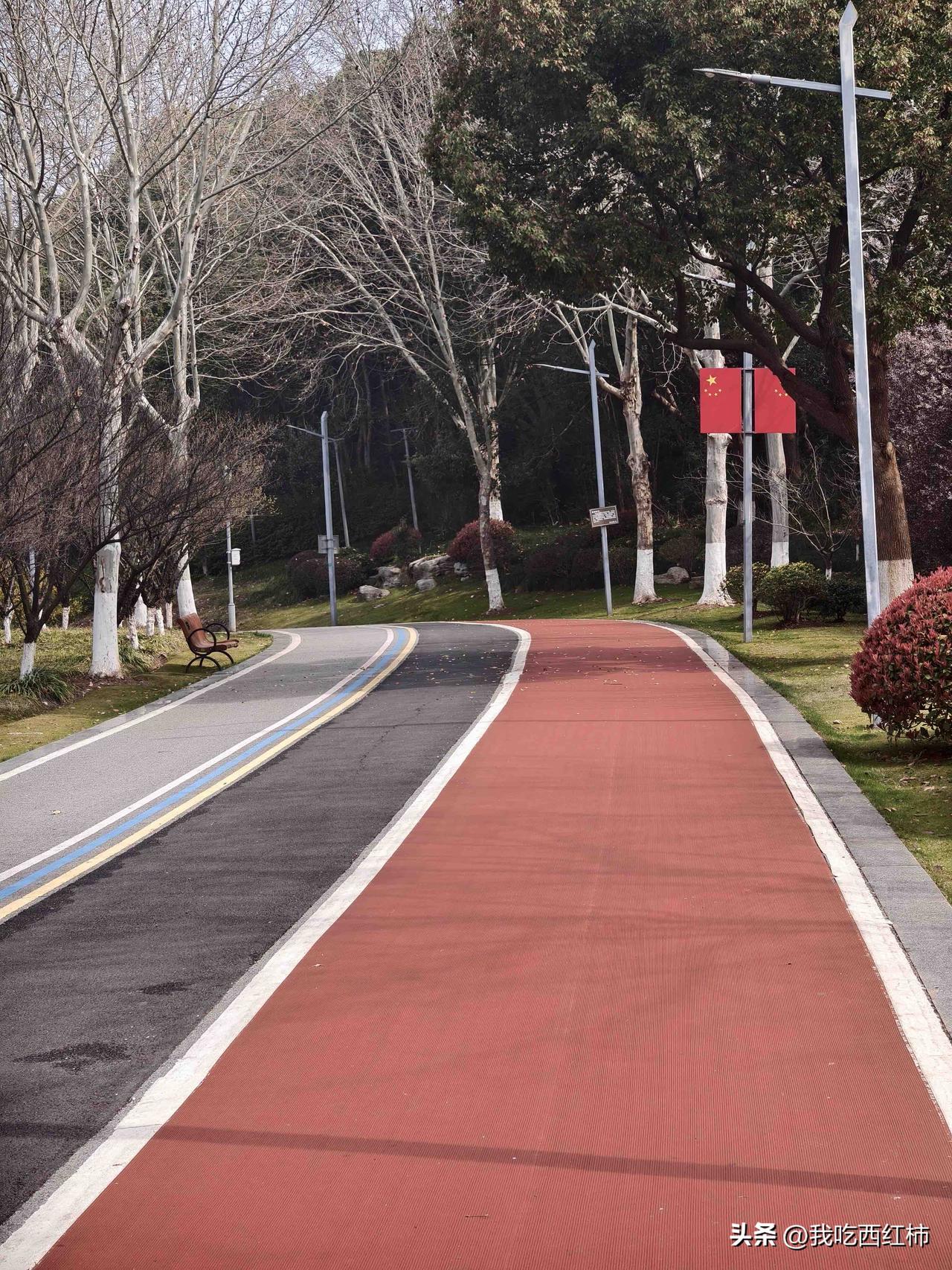 一毕业就有了sy编制，有了稳定工作，工作不忙，同事和谐，待遇尚可，单位就在家门口