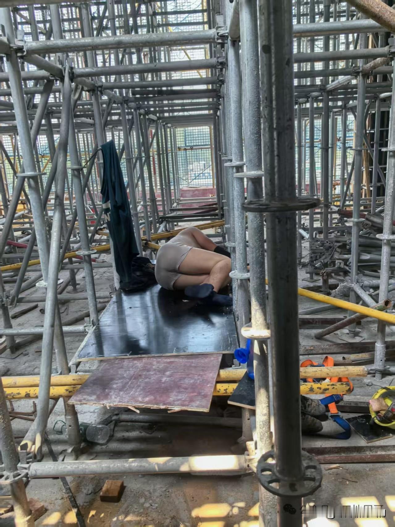 生活的苦
只有身在其中的人
才会有体会