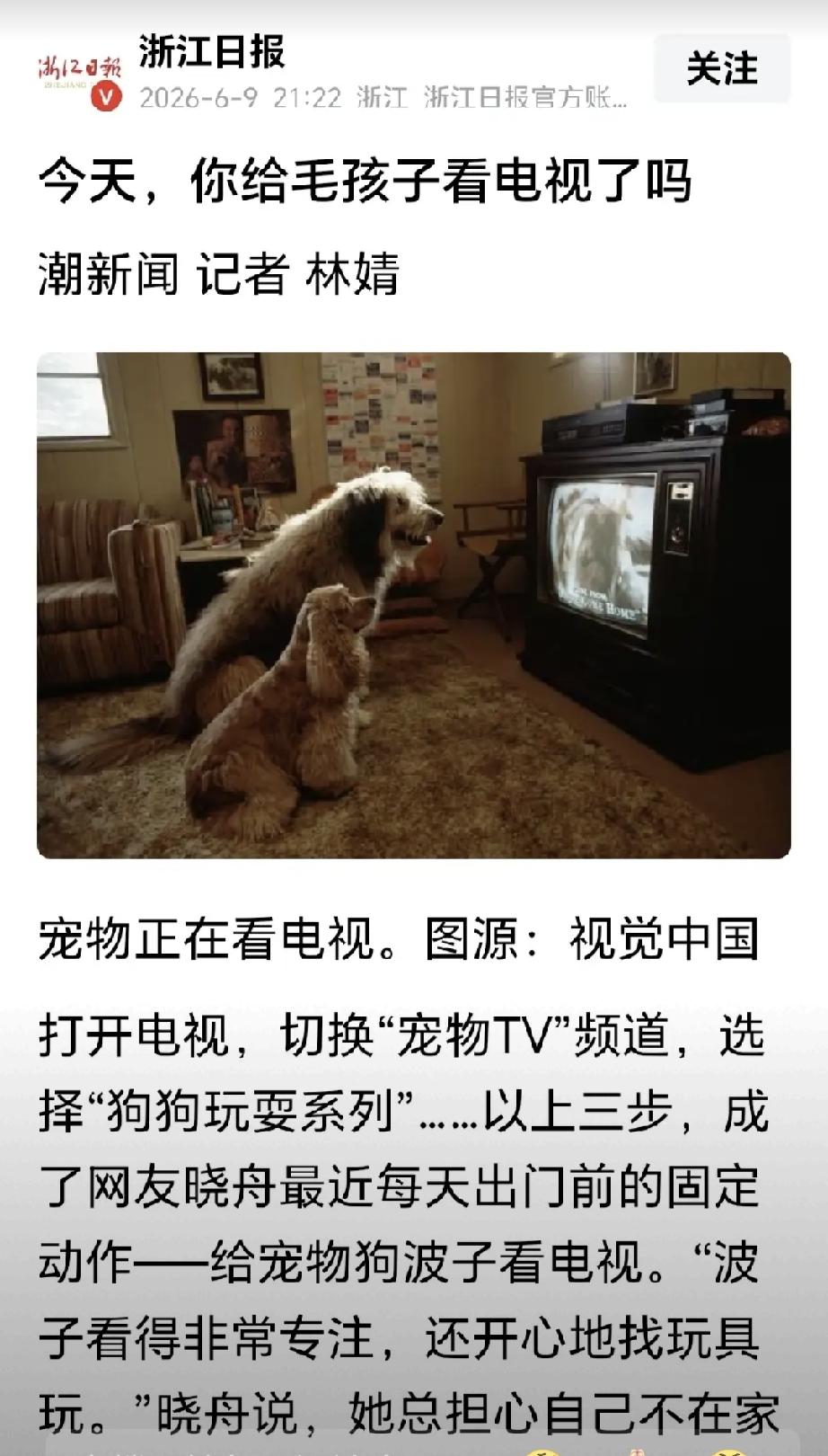 不能仅止于删除！
前有北青网的“300只流浪狗的‘六一’礼物”，在遭到网民铺天盖