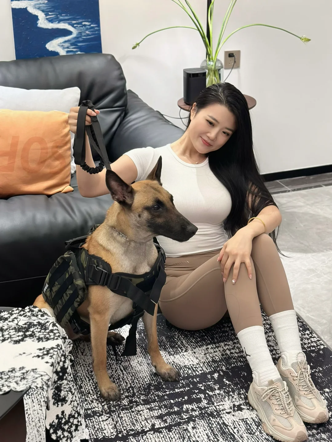 就喜欢舔狗 哈哈