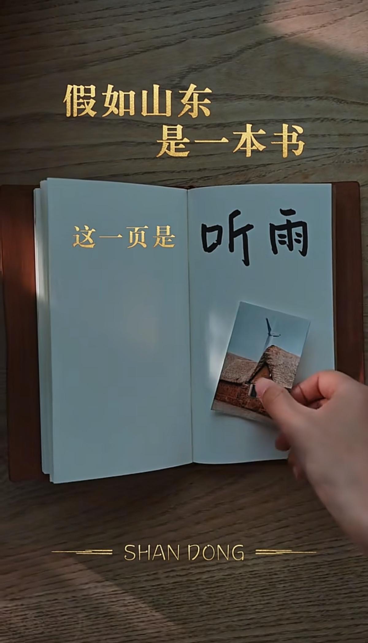 山海相融，齐鲁和雍。
躲进这一章，且听风雨：草顶垂珠，雨打流年。
今天中午董董在