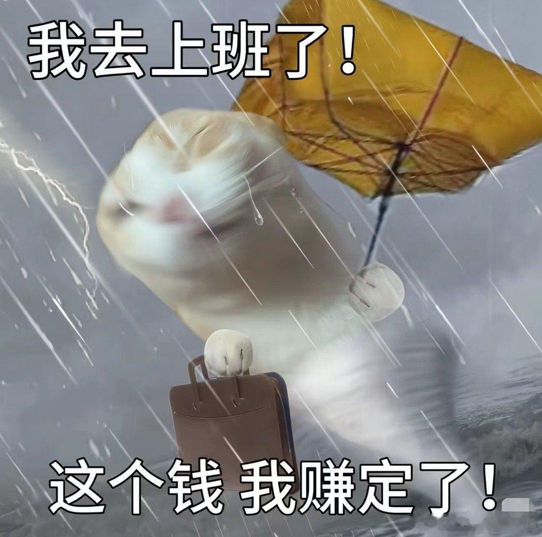 加油，台风天没有居家办公的牛马。 